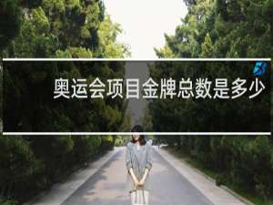 奥运会项目金牌总数是多少