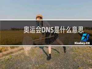 奥运会DNS是什么意思