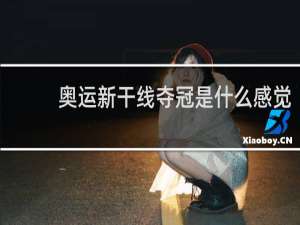 奥运新干线夺冠是什么感觉