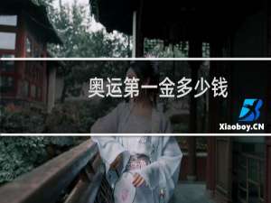 奥运第一金多少钱