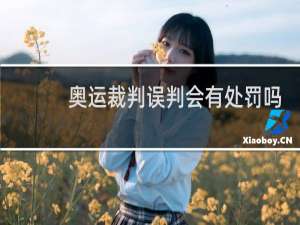 奥运裁判误判会有处罚吗