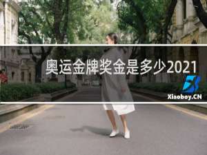 奥运金牌奖金是多少2021