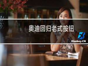 奥迪回归老式按钮