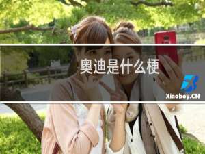 奥迪是什么梗