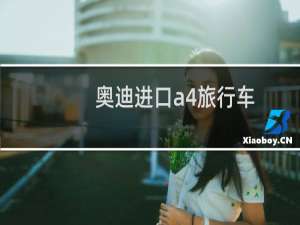 奥迪进口a4旅行车