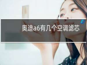 奥迪a6有几个空调滤芯