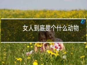 女人到底是个什么动物