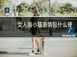 女人指小猫表情包什么梗