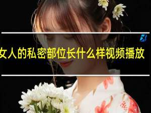 女人的私密部位长什么样视频播放