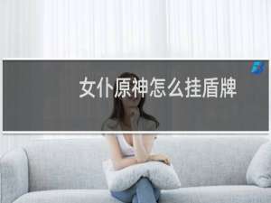 女仆原神怎么挂盾牌