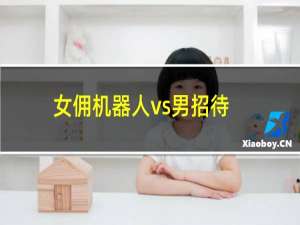 女佣机器人vs男招待机器人军团