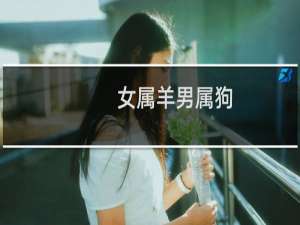 女属羊男属狗