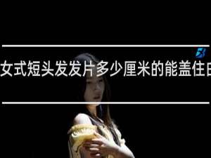 女式短头发发片多少厘米的能盖住白头发