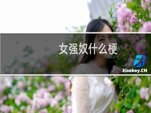 女强奴什么梗