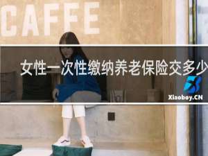 女性一次性缴纳养老保险交多少钱