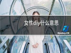 女性diy什么意思