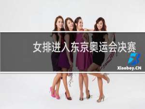 女排进入东京奥运会决赛了吗