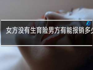 女方没有生育险男方有能报销多少钱