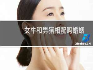 女牛和男猪相配吗婚姻