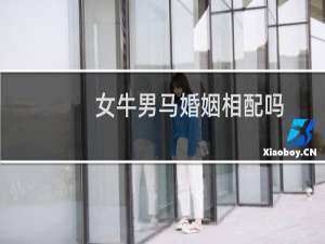 女牛男马婚姻相配吗