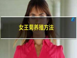 女王菊养殖方法