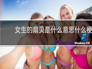 女生的扇贝是什么意思什么梗
