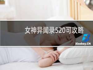 女神异闻录5 可攻略