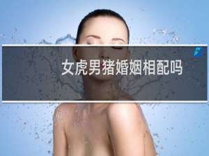 女虎男猪婚姻相配吗