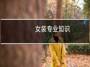 女装专业知识