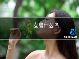 女装什么鸟