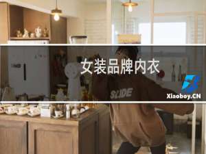 女装品牌内衣