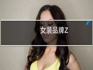 女装品牌Z