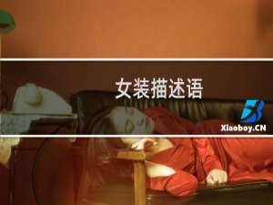 女装描述语