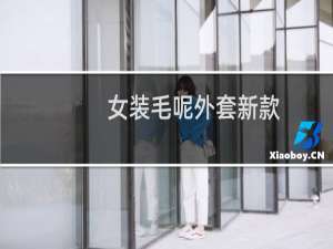 女装毛呢外套新款