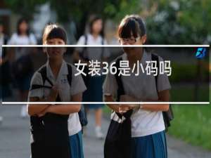 女装36是小码吗