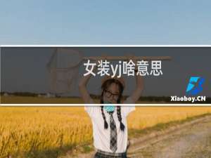女装yj啥意思