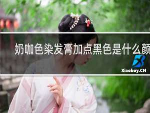 奶咖色染发膏加点黑色是什么颜色