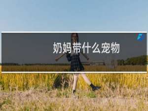 奶妈带什么宠物