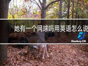 她有一个网球吗用英语怎么说