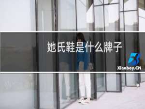 她氏鞋是什么牌子