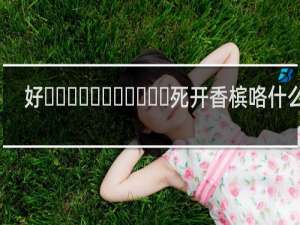 好‌‌‌‌‌‌‌‌‌‌‌死开香槟咯什么梗，好‌‌‌‌‌‌‌‌‌‌‌死开香槟咯是什么意思？什么梗