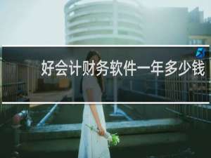 好会计财务软件一年多少钱