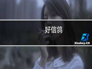 好信鸽