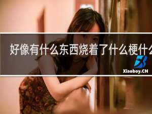 好像有什么东西烧着了什么梗什么梗