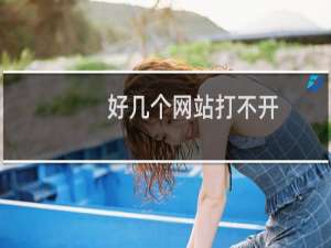 好几个网站打不开，需要速度解决