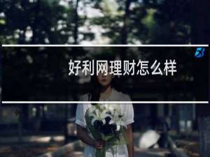 好利网理财怎么样