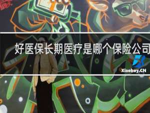 好医保长期医疗是哪个保险公司的