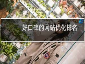 好口碑的网站优化排名