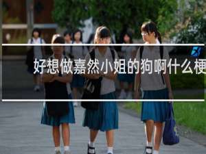 好想做嘉然小姐的狗啊什么梗