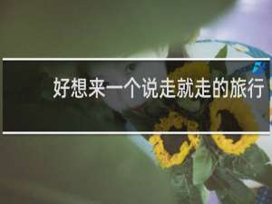好想来一个说走就走的旅行